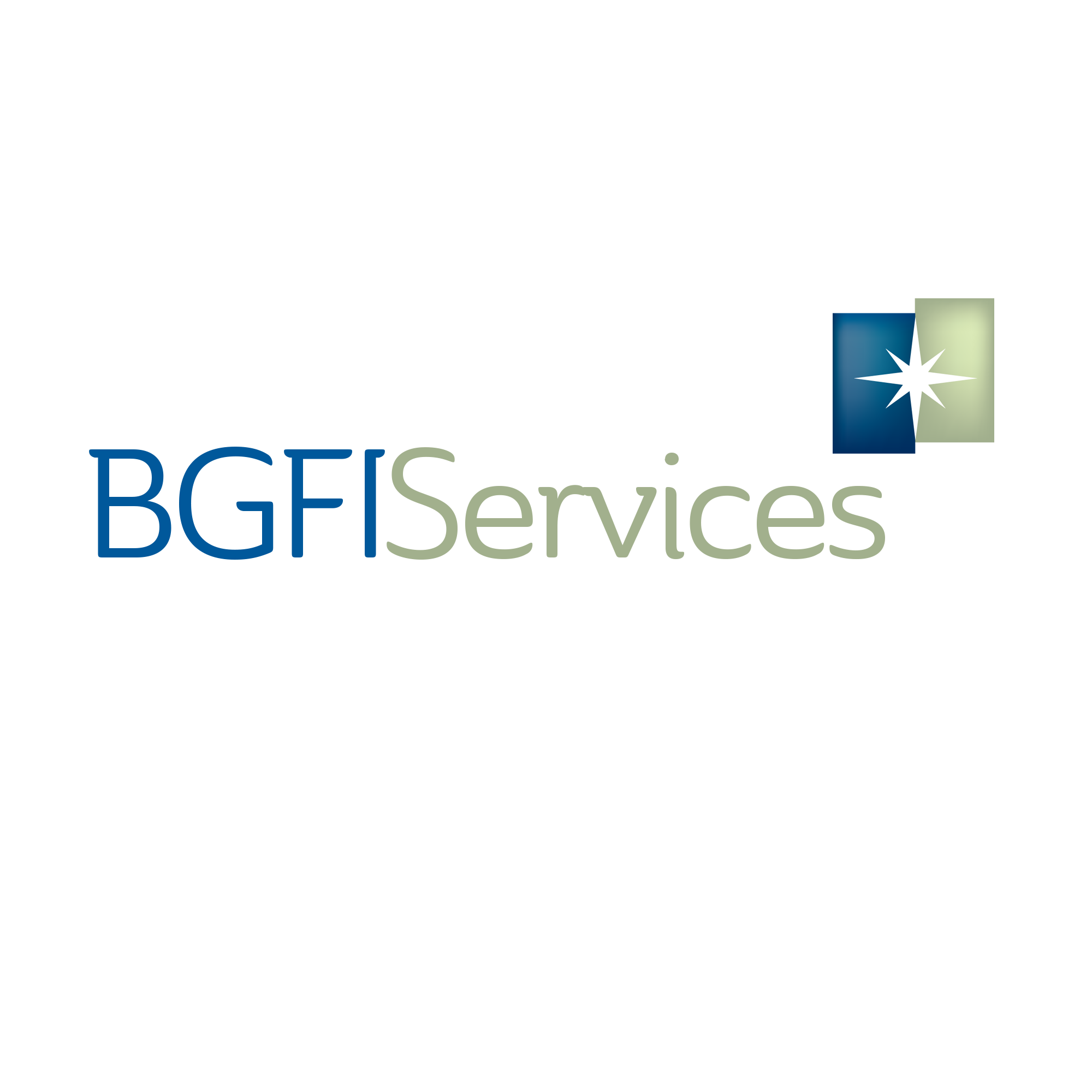 BGFI Services